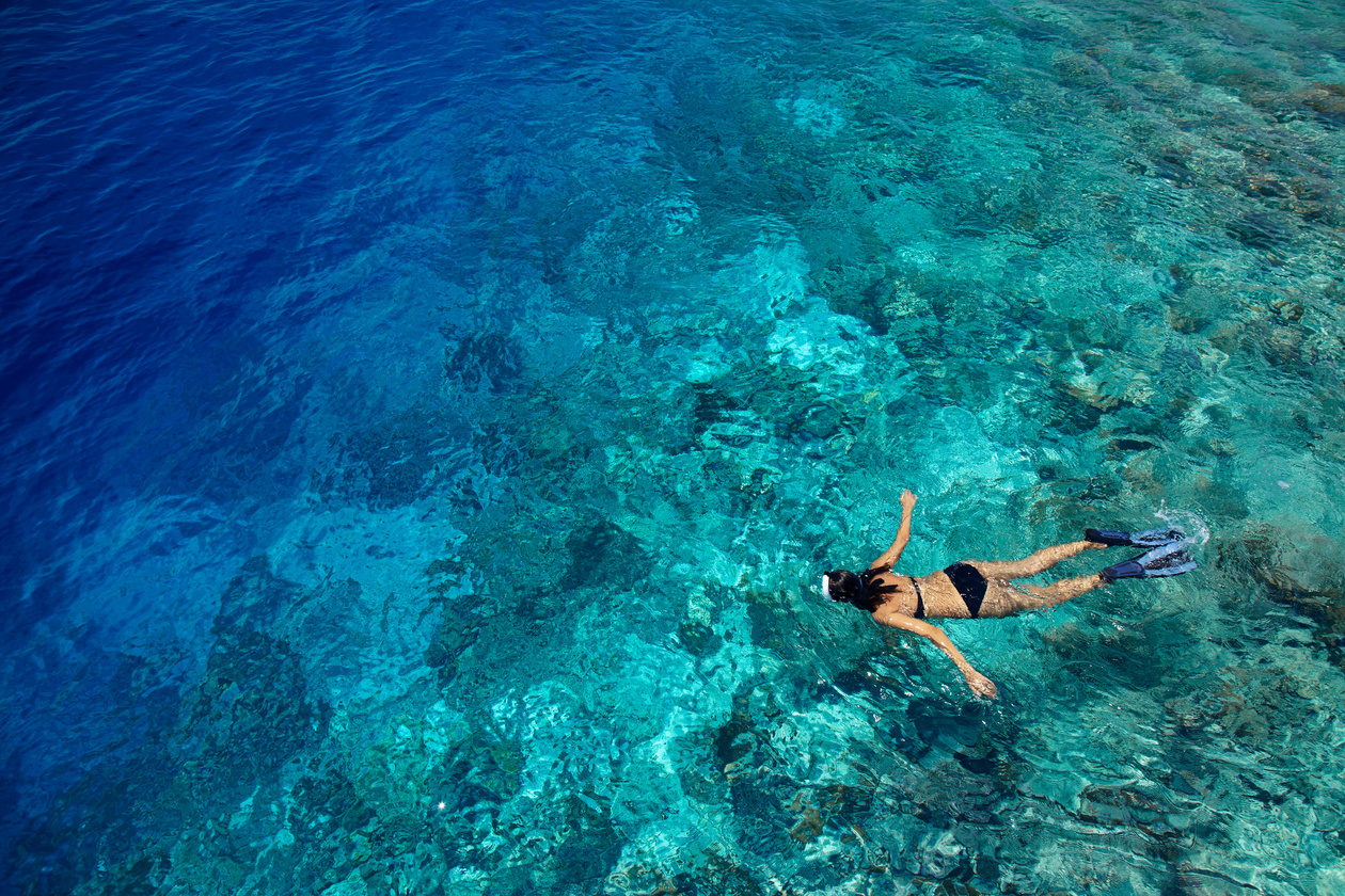 A guest snorkelling in the clear Maldivian sea